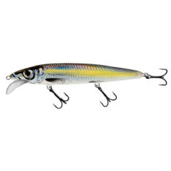 Salmo Whacky Floating Ltd Edition 15 CM -VisAvontuur 1d08732c76034534980804cfe20e2df0