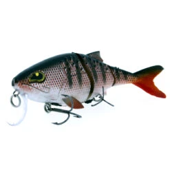 Rozemeijer Sweet Meat 18 CM -VisAvontuur 1fa27493c92048f782b5d84f8c9b8abd