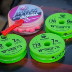 VisAvontuur -VisAvontuur goegwlc2637550369627313970 1