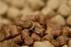 Guru - Super LWG Ready Rig -VisAvontuur slwg pellet close